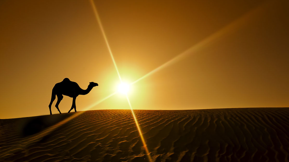 Knight Castle Hotel Dubai Dış mekan fotoğraf The Sahara Desert